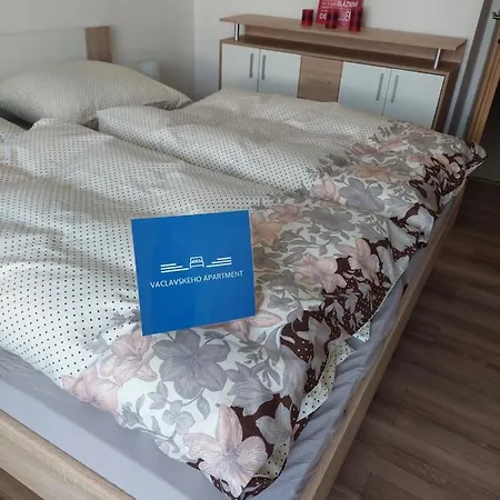 Apartment Vaclavskeho