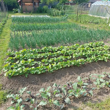 Apartamento Vaclavskeho *