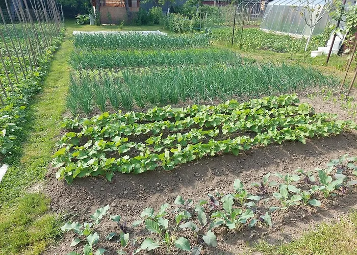 Апартаменты Vaclavskeho *