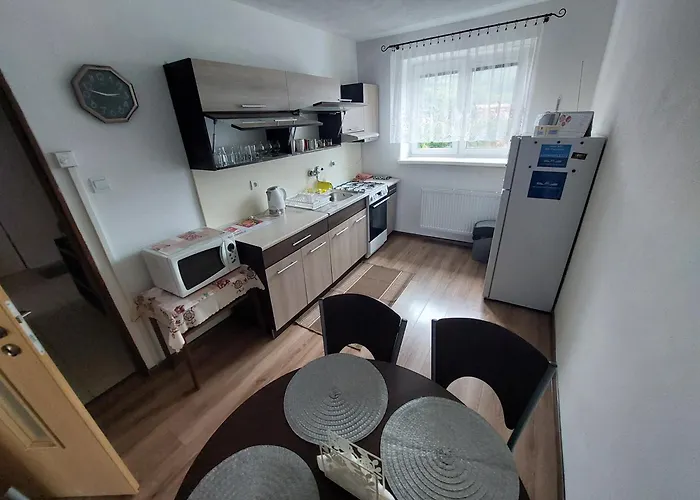 Vaclavskeho Апартаменты *